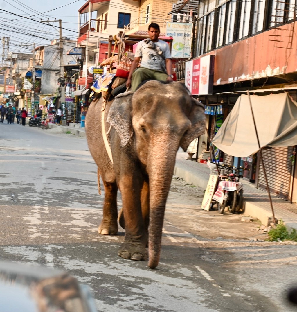 Nepal