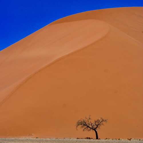 Namib desert, Namibia