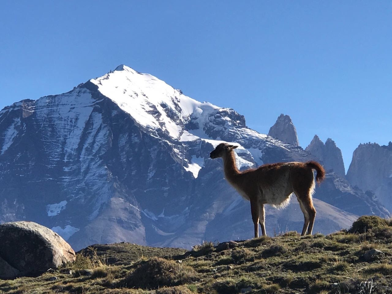 Torres del Paine 