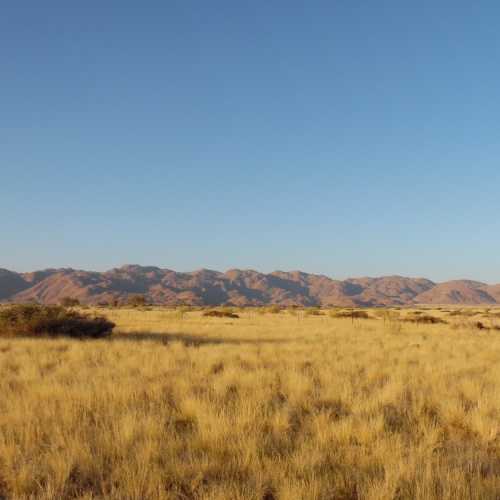 solitaire, Намибия