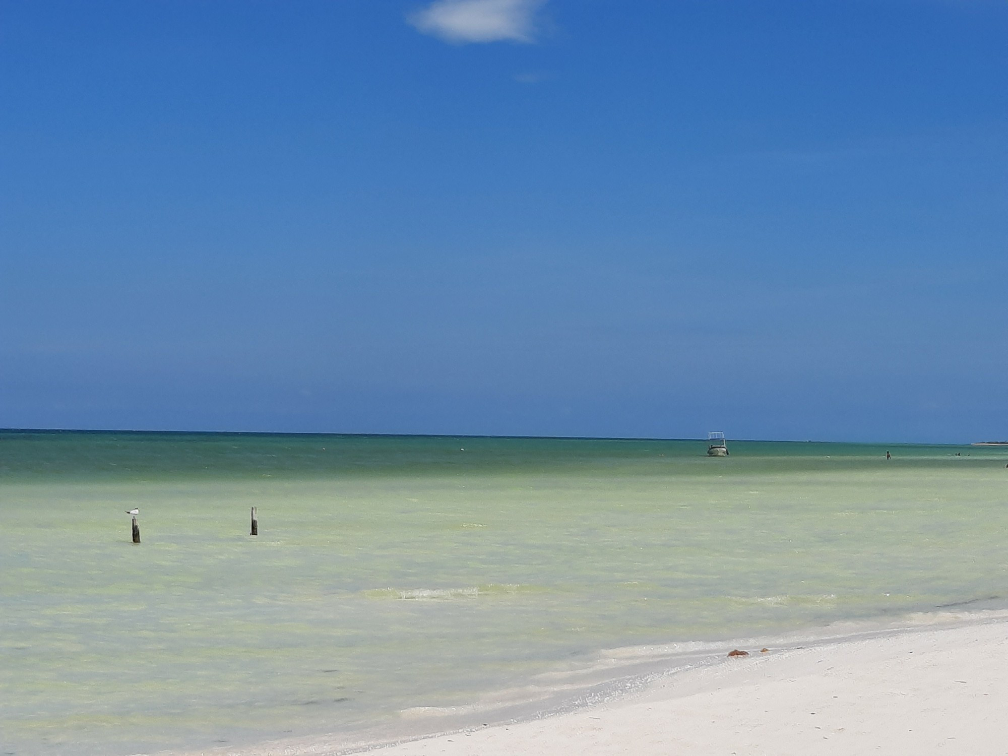 Isla Holbox, Mexico