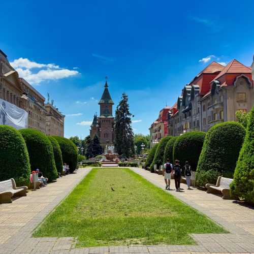 Тимишоара, Румыния