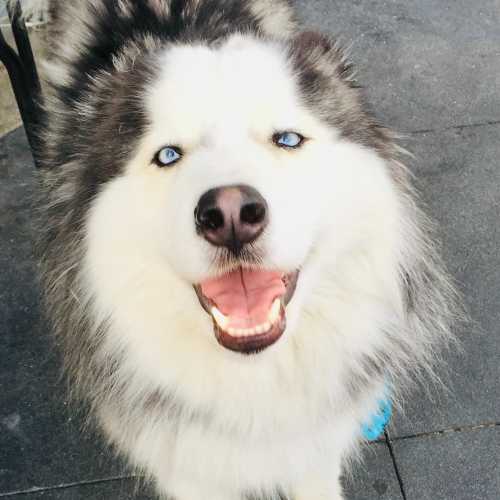 Los Angeles, United States