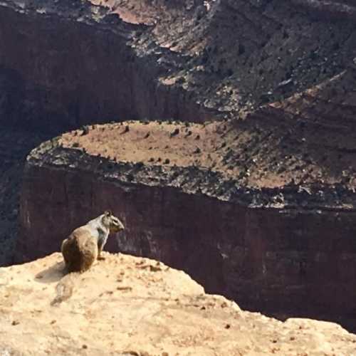 Гранд Каньон, США