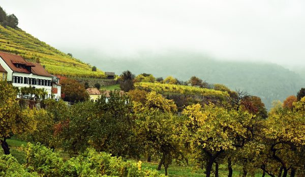 Weißenkirchen, Austria