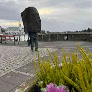 The unknown bureaucrat photo