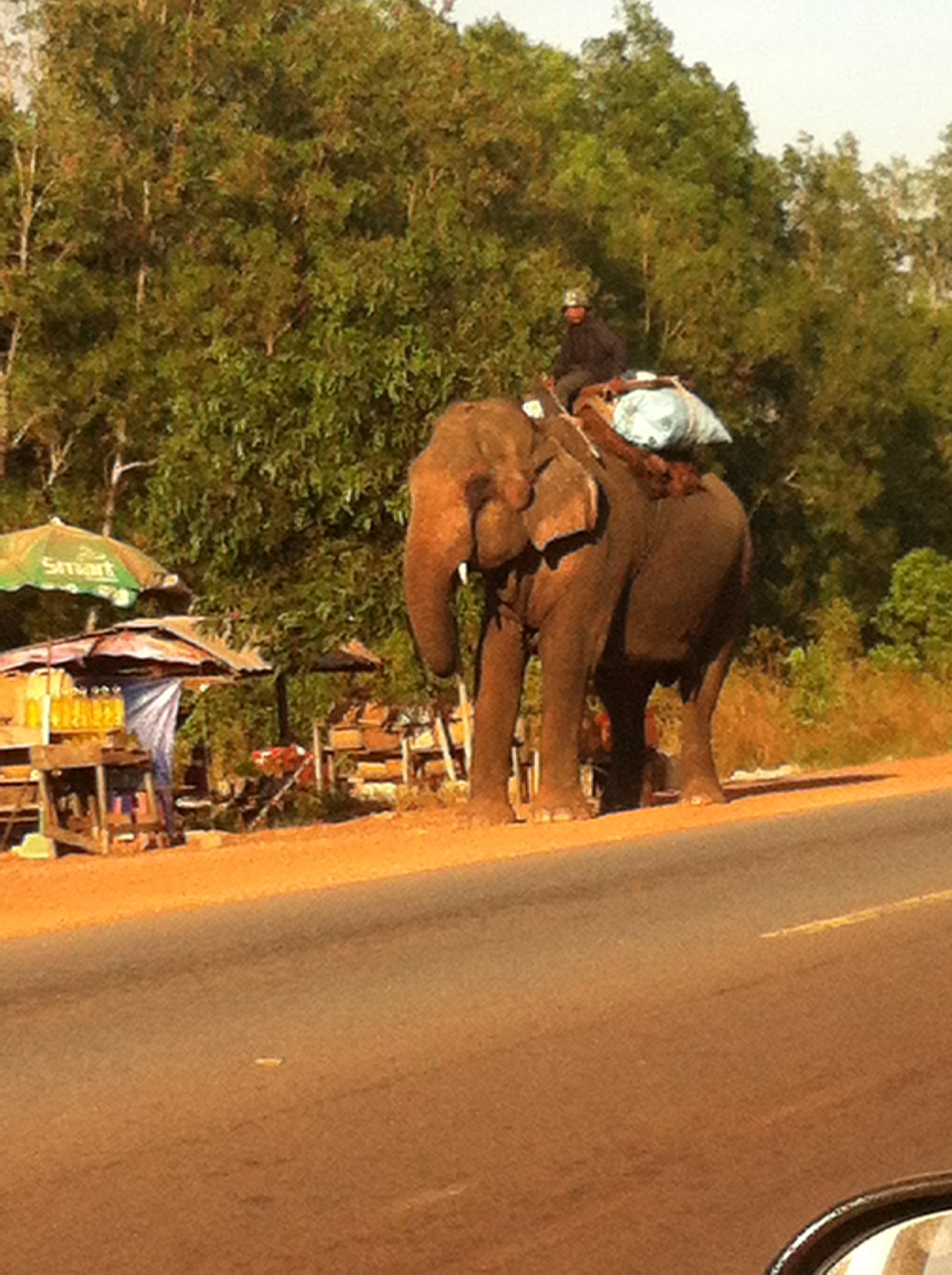 Cambodia