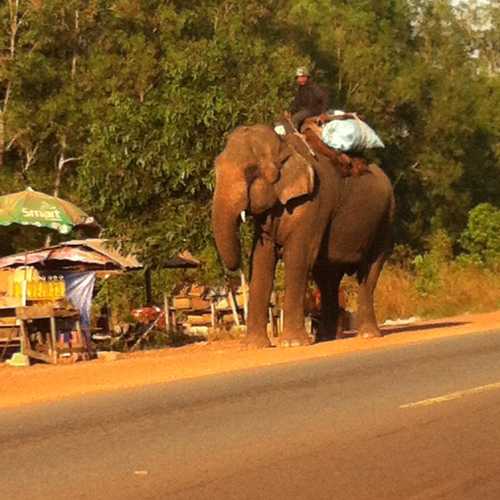 Cambodia