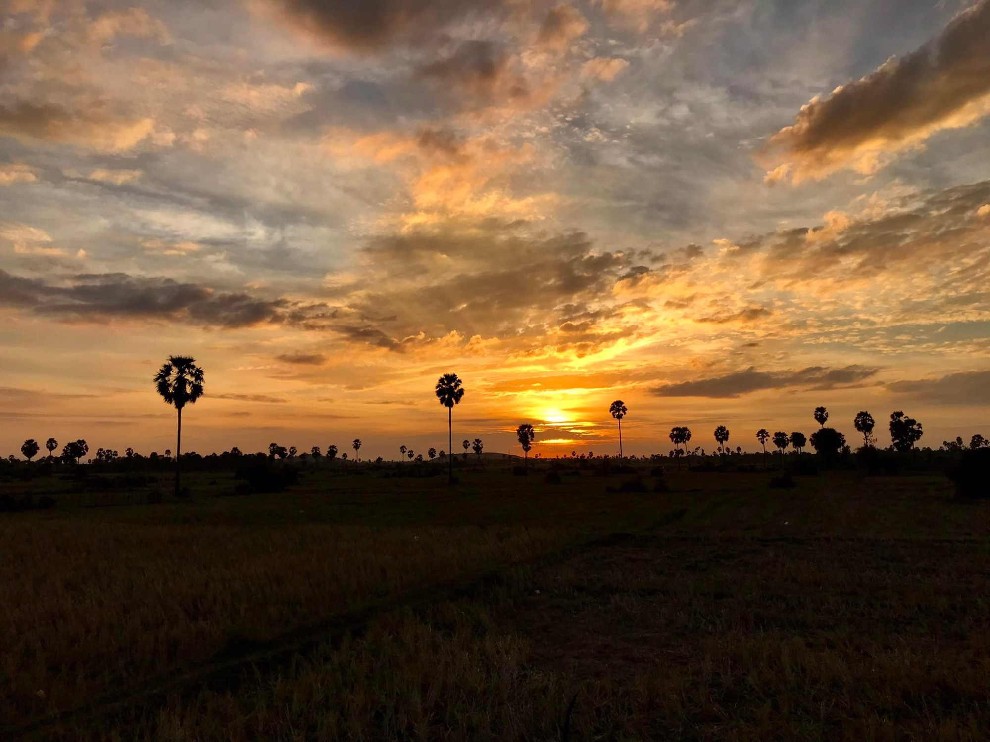 Cambodia