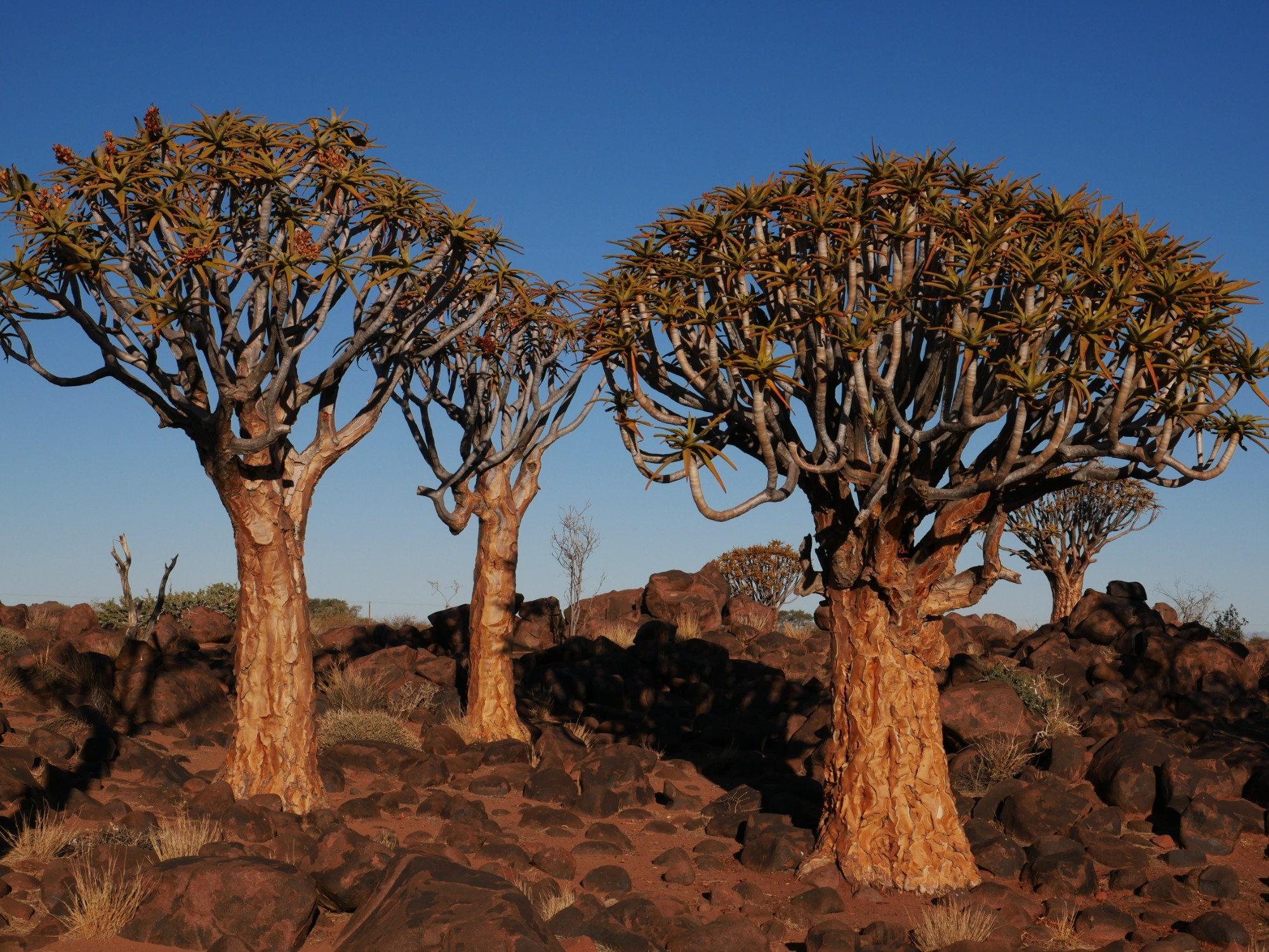 Namibia