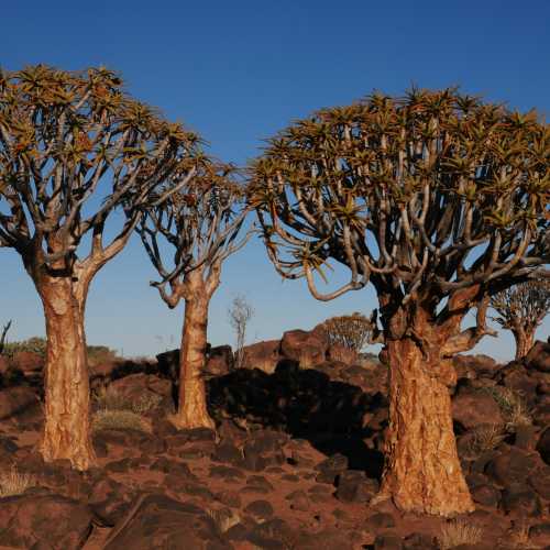 Namibia