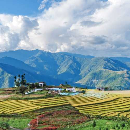 Bhutan