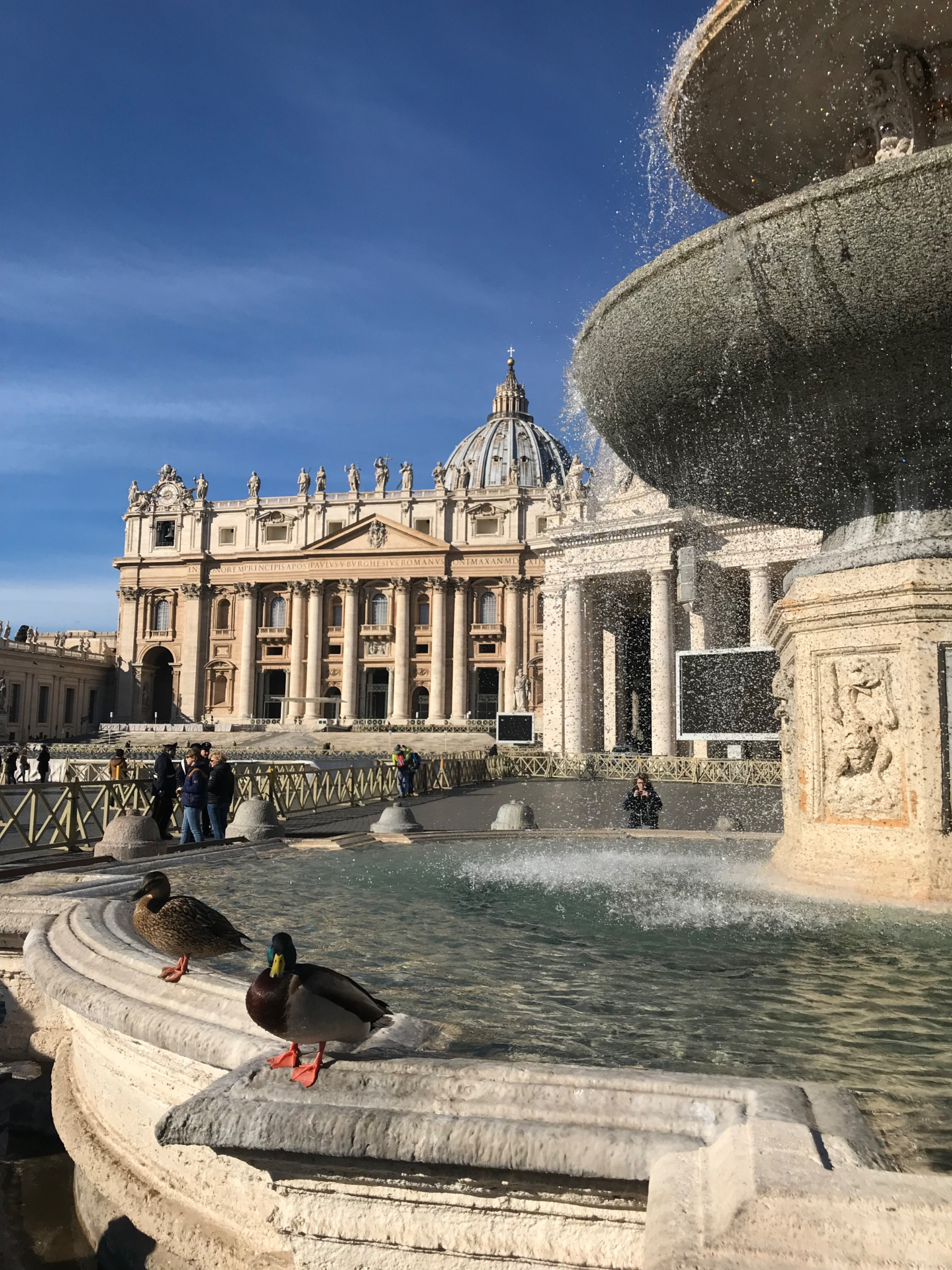 Vatican