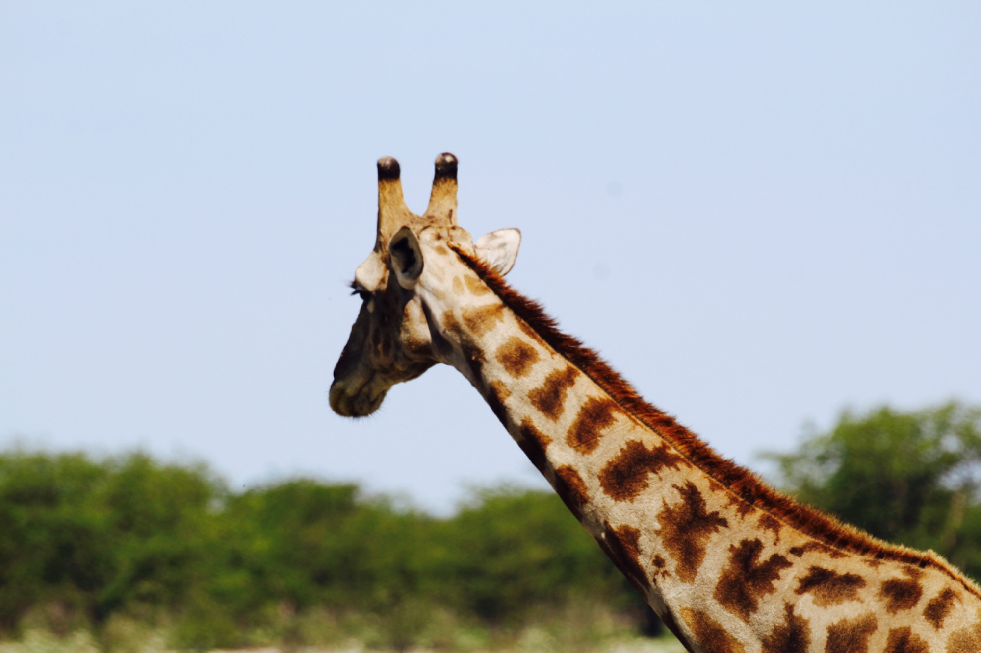 Namibia