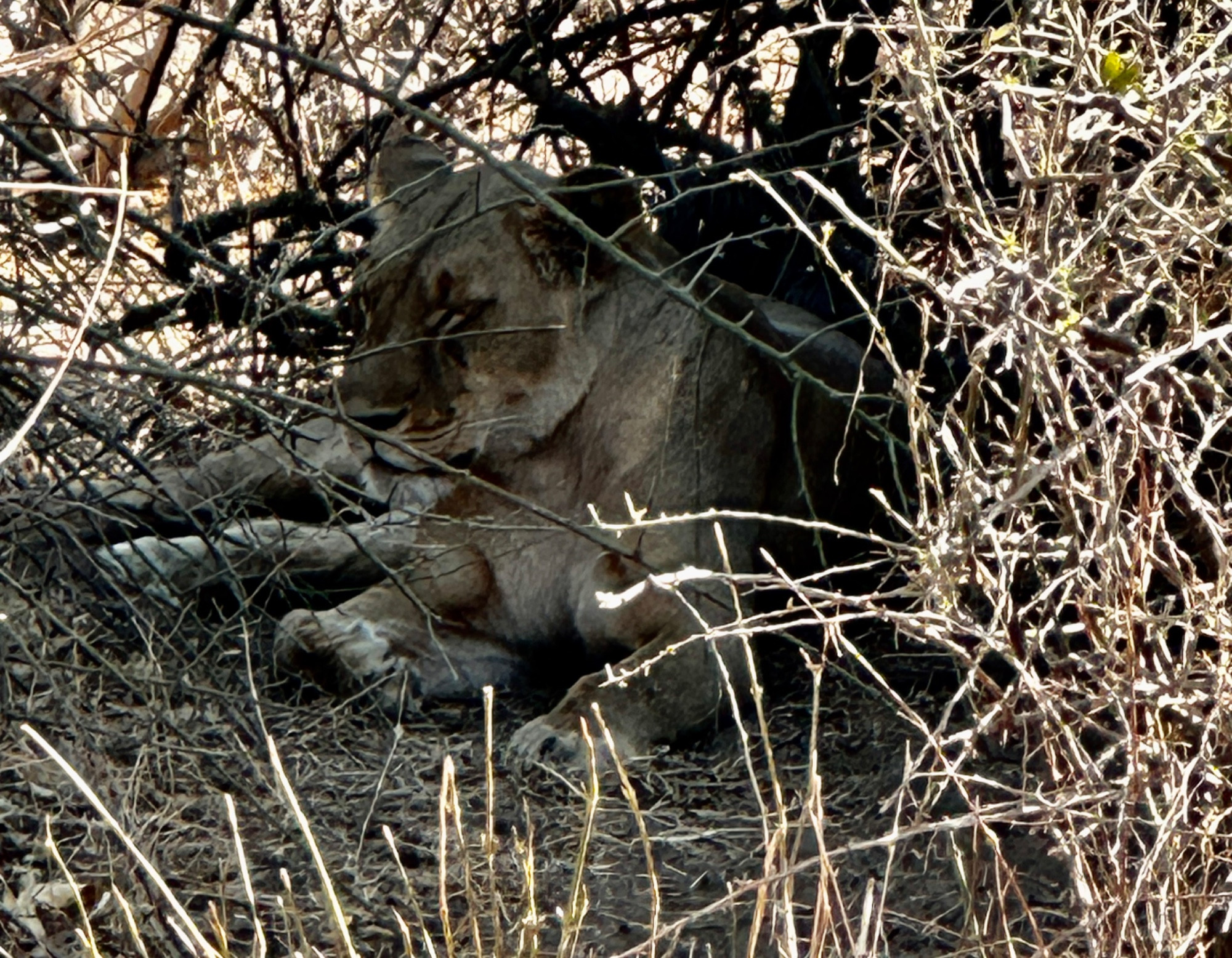 Botswana