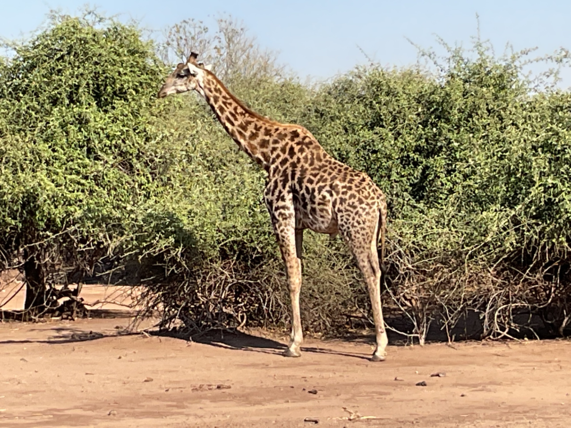 Namibia