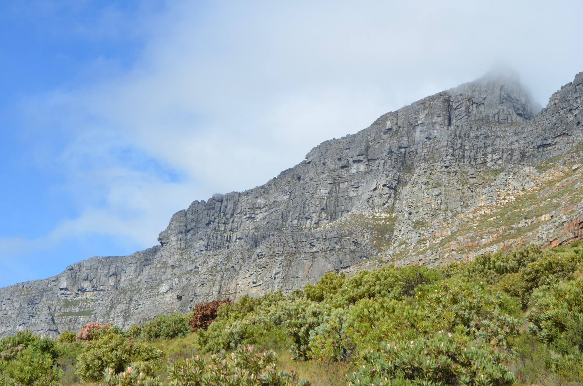 Table Mountain, South Africa