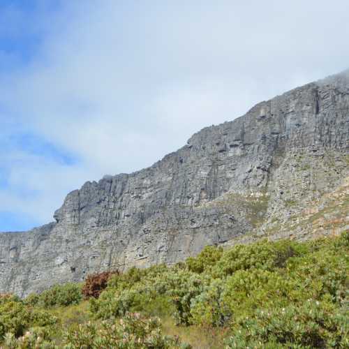 Table Mountain, South Africa