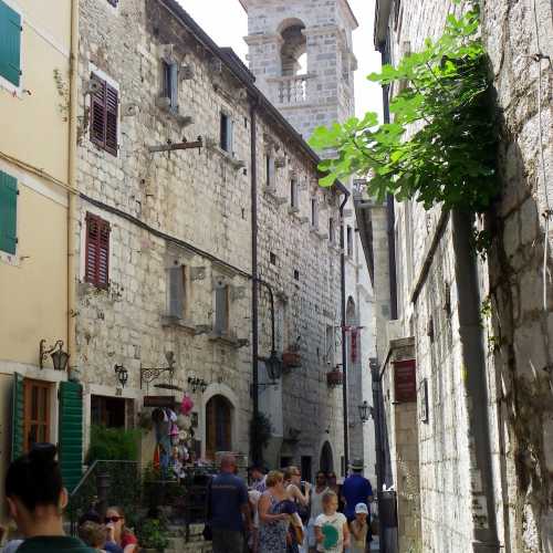 Черногория