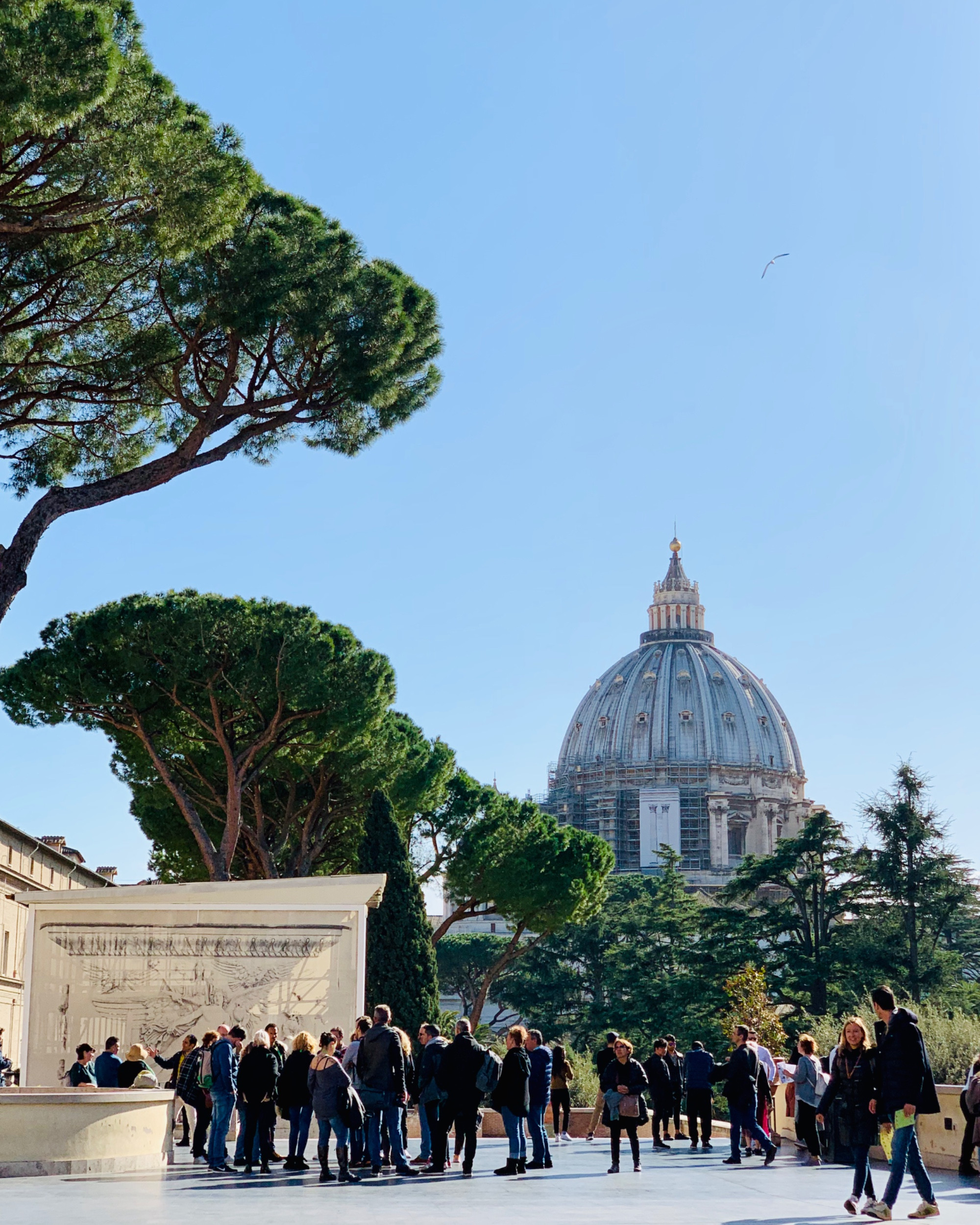 Vatican