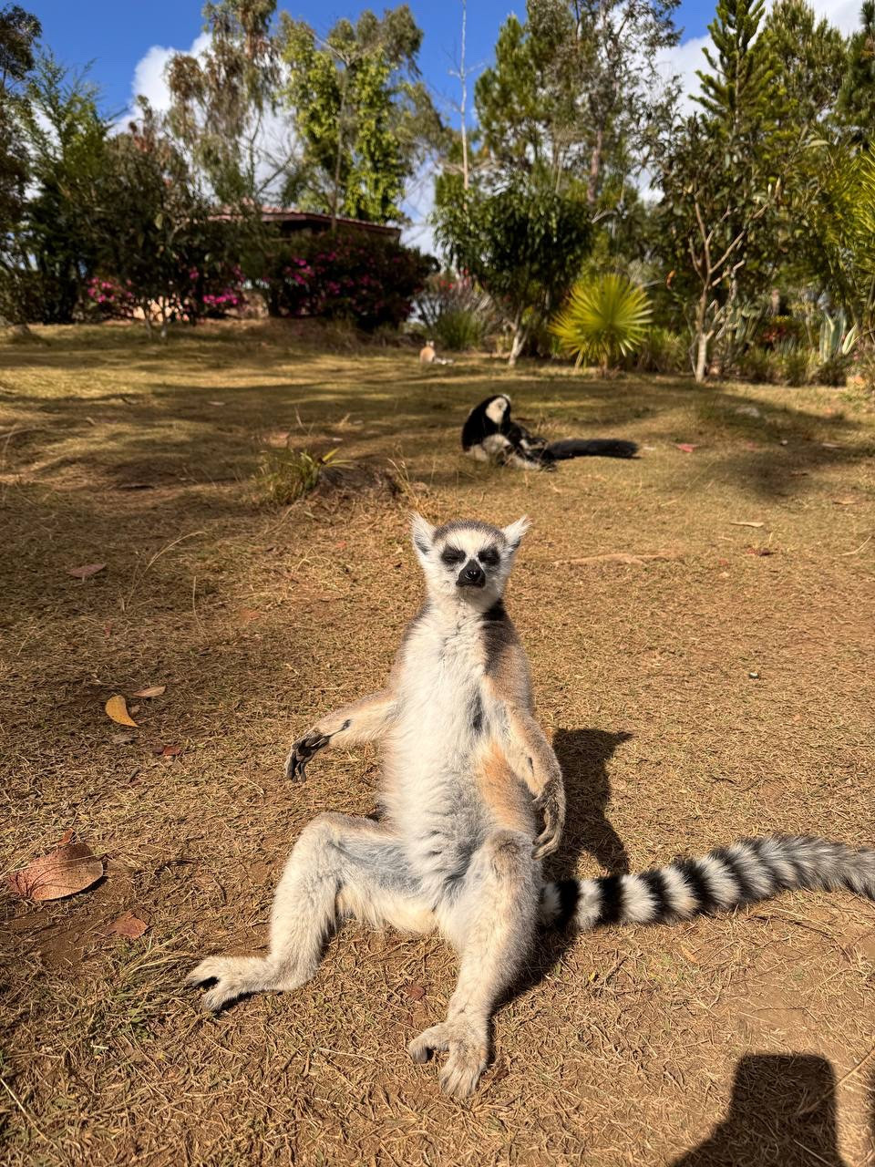 Madagascar