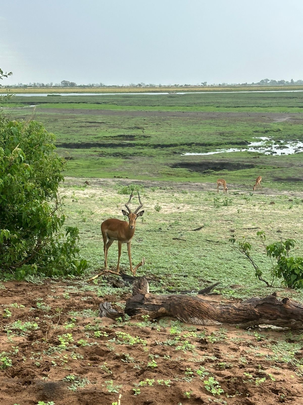 Botswana