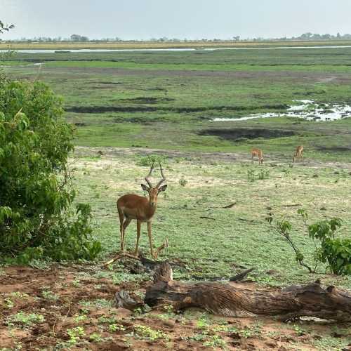 Botswana