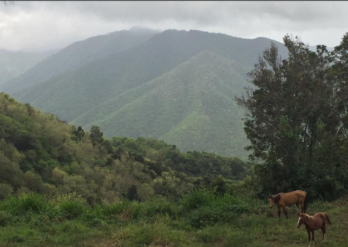 Puerto Rico