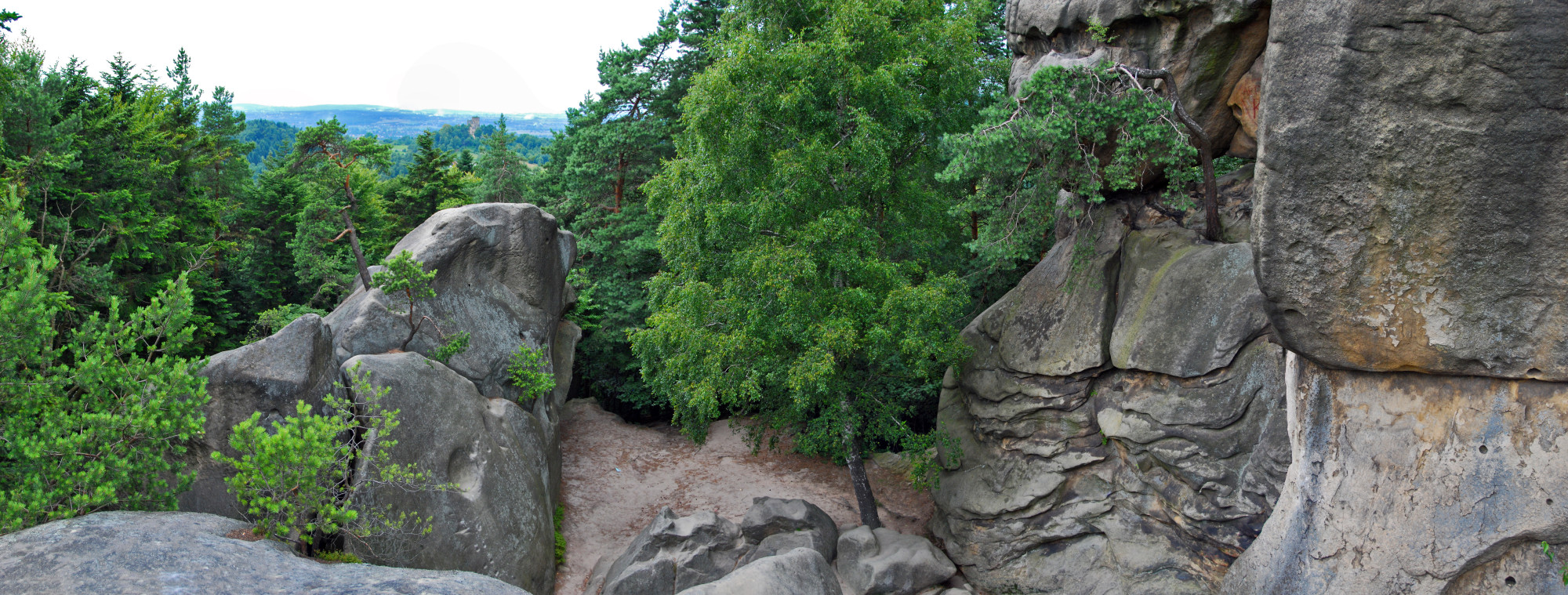 Заповедник Пшондки, Poland