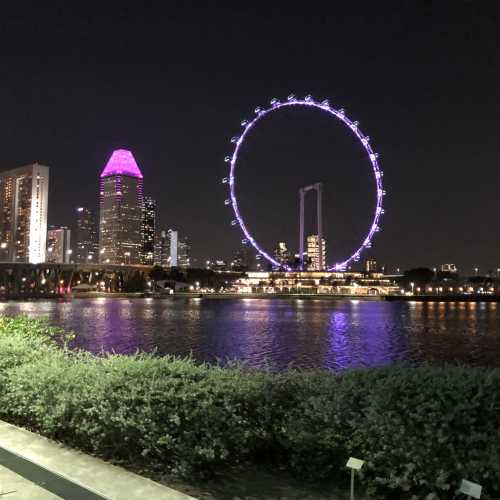 Gardens by the Bay