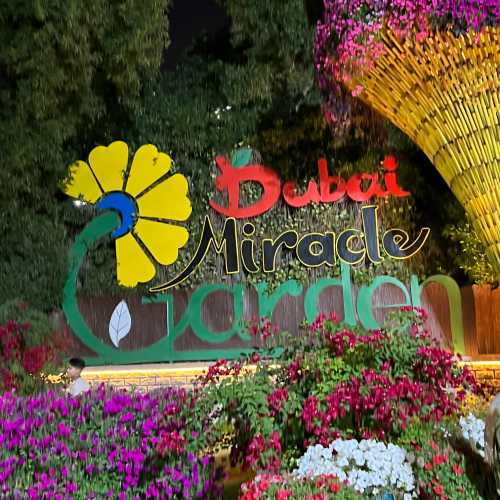 Dubai Miracle garden, United Arab Emirates