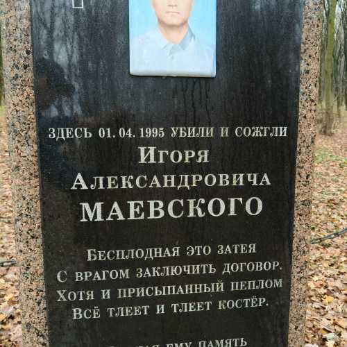 Ігоря Олександровича Маєвського, Ukraine