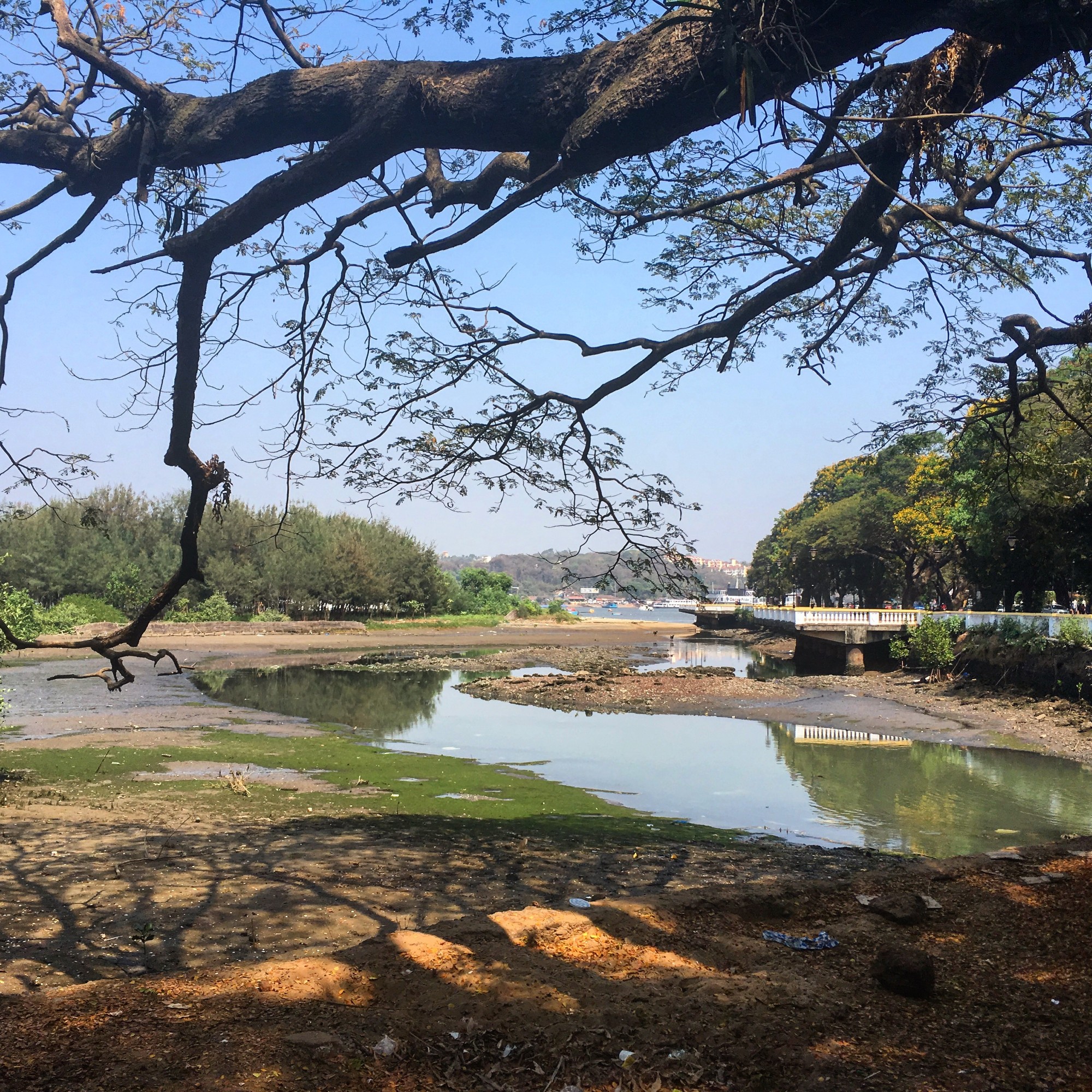 Panaji, India