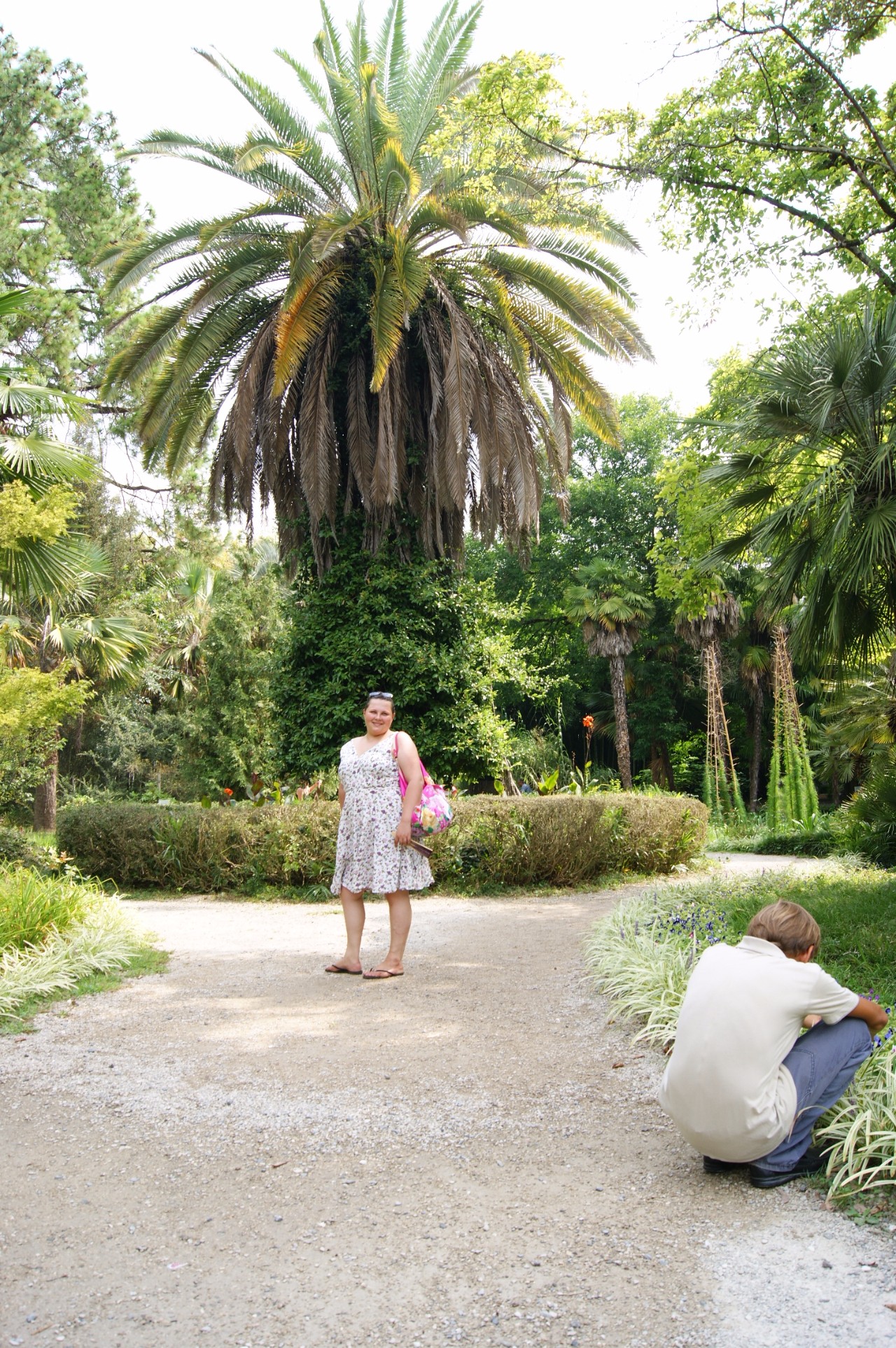 Ботанический сад, г. Сухум