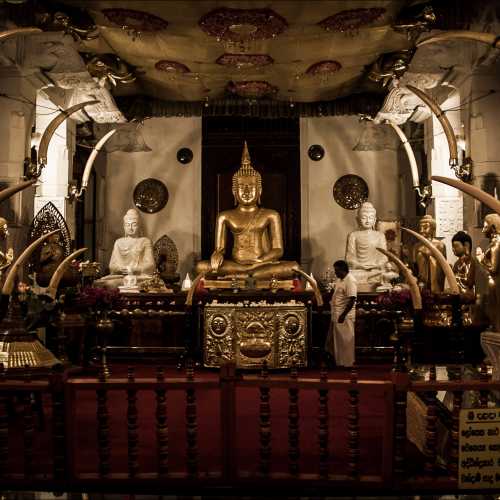 Relic of the tooth of the Buddha