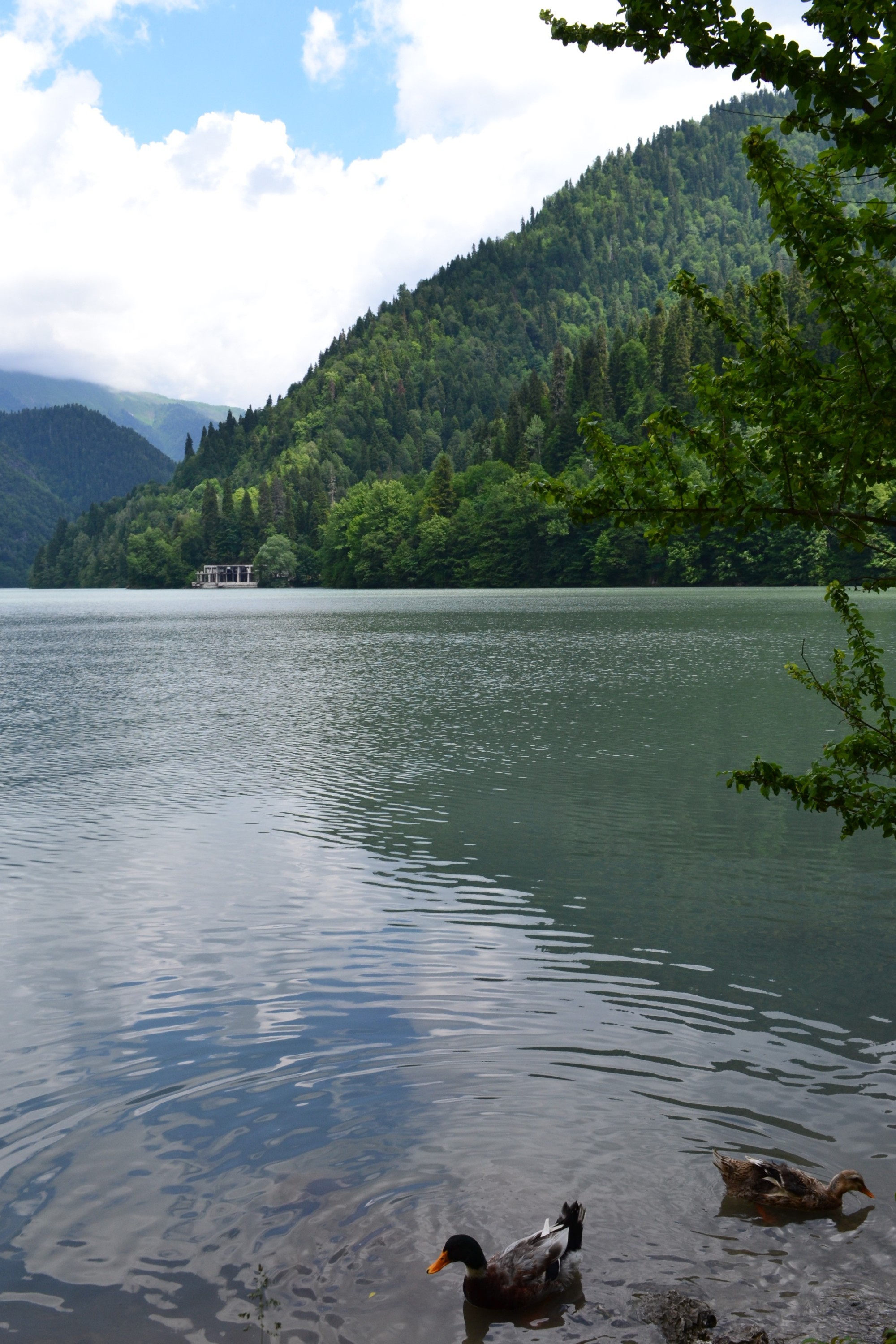 Lake Ritsa, Abhazia