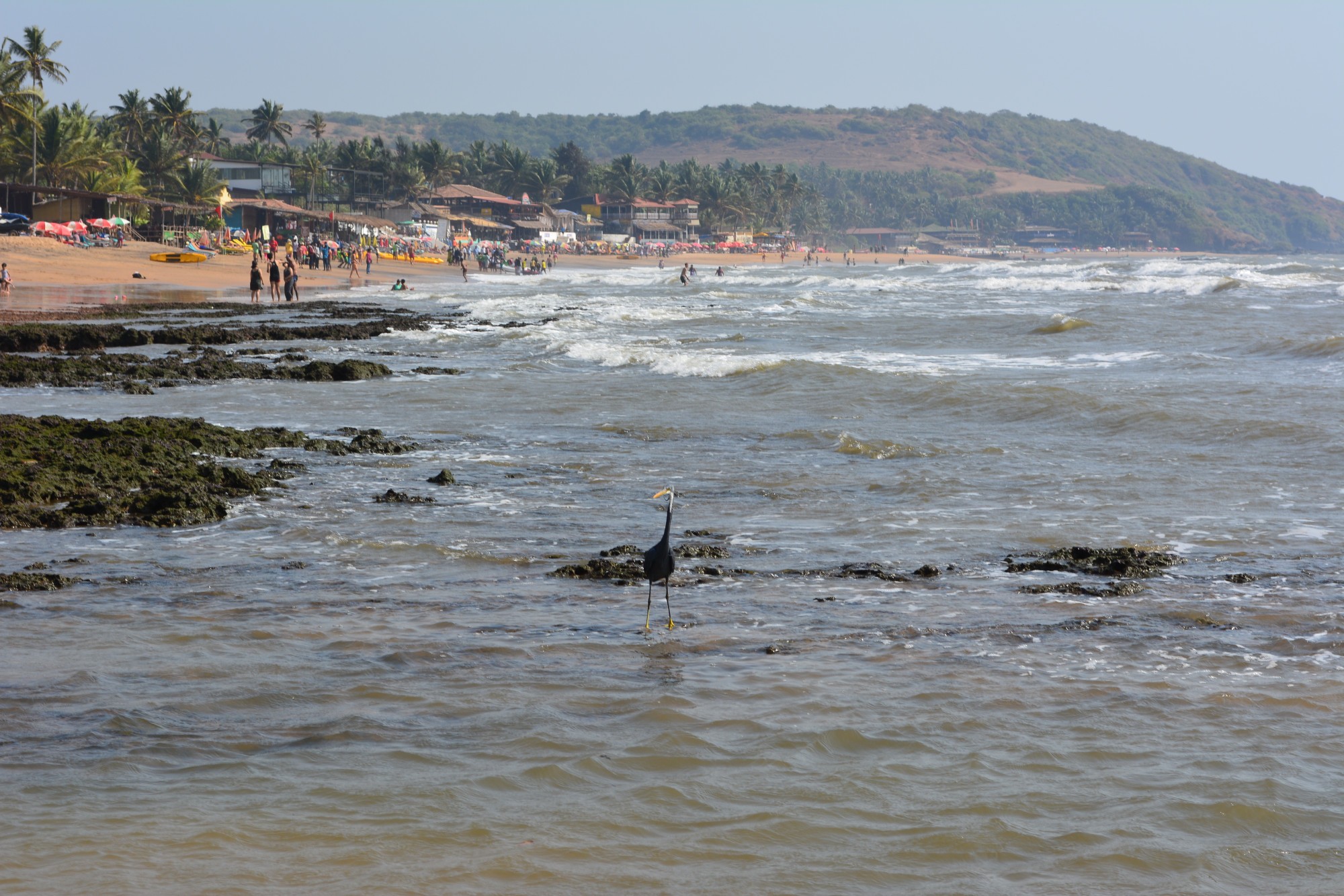 Anjuna, India