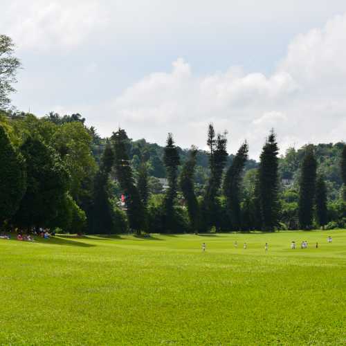 Royal Botanical Gardens, Sri Lanka