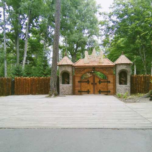 Białowieża Forest, Belarus