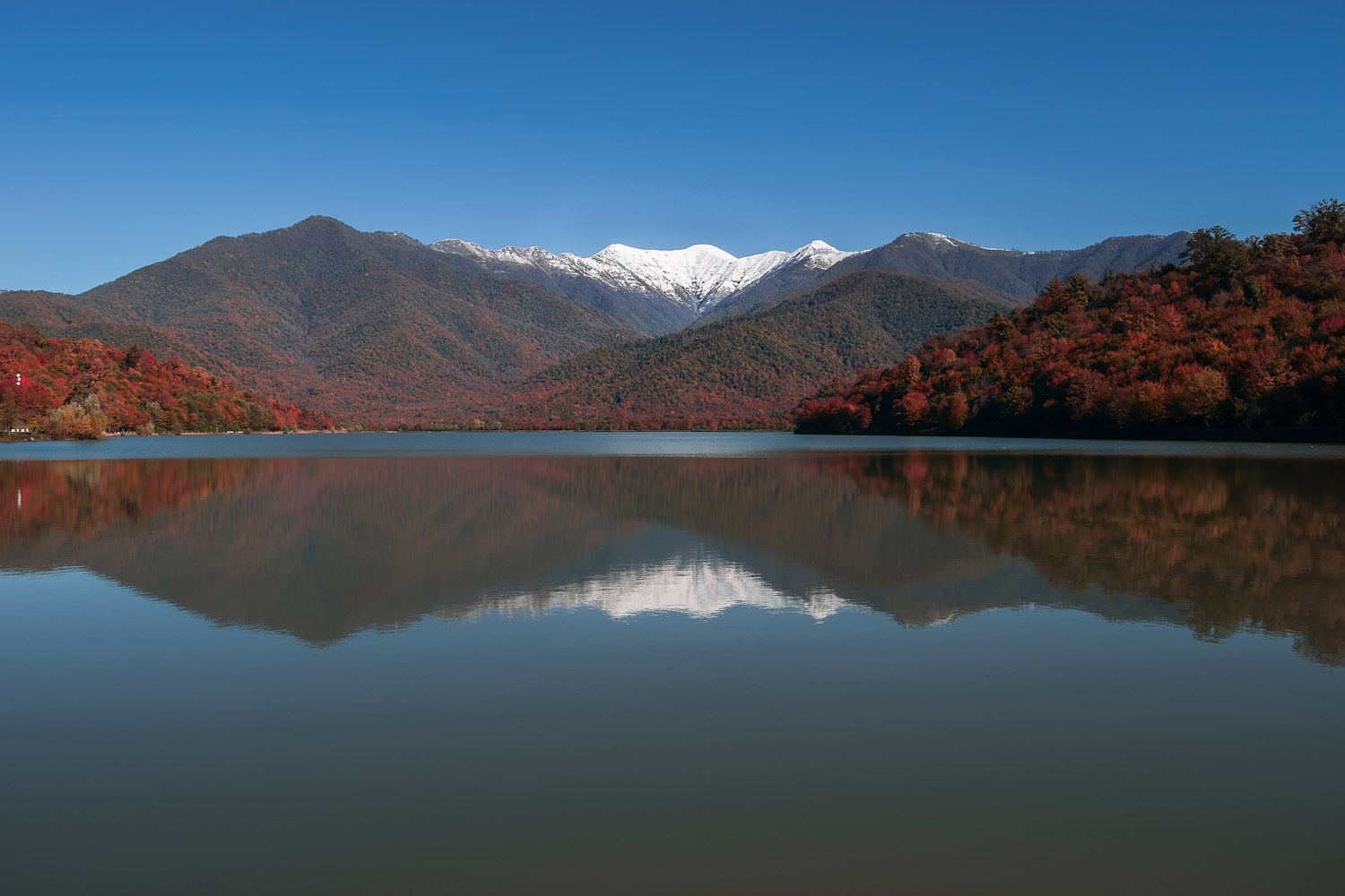 Кварели грузия фото