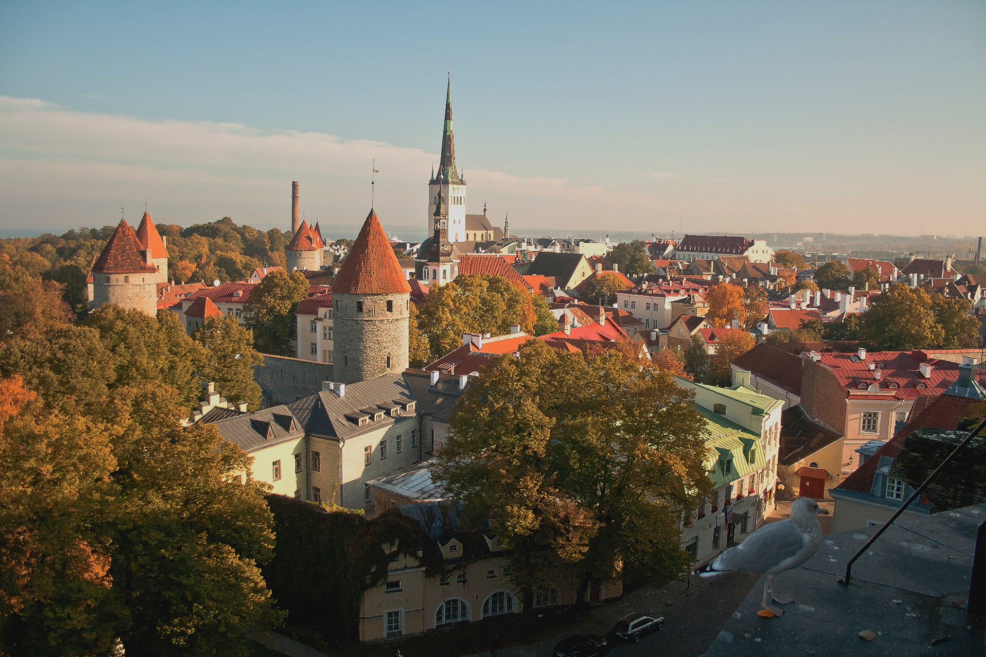 Tallinna vanalinn ja kajakas