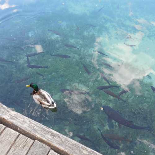 Plitvice Lakes National Park, Croatia