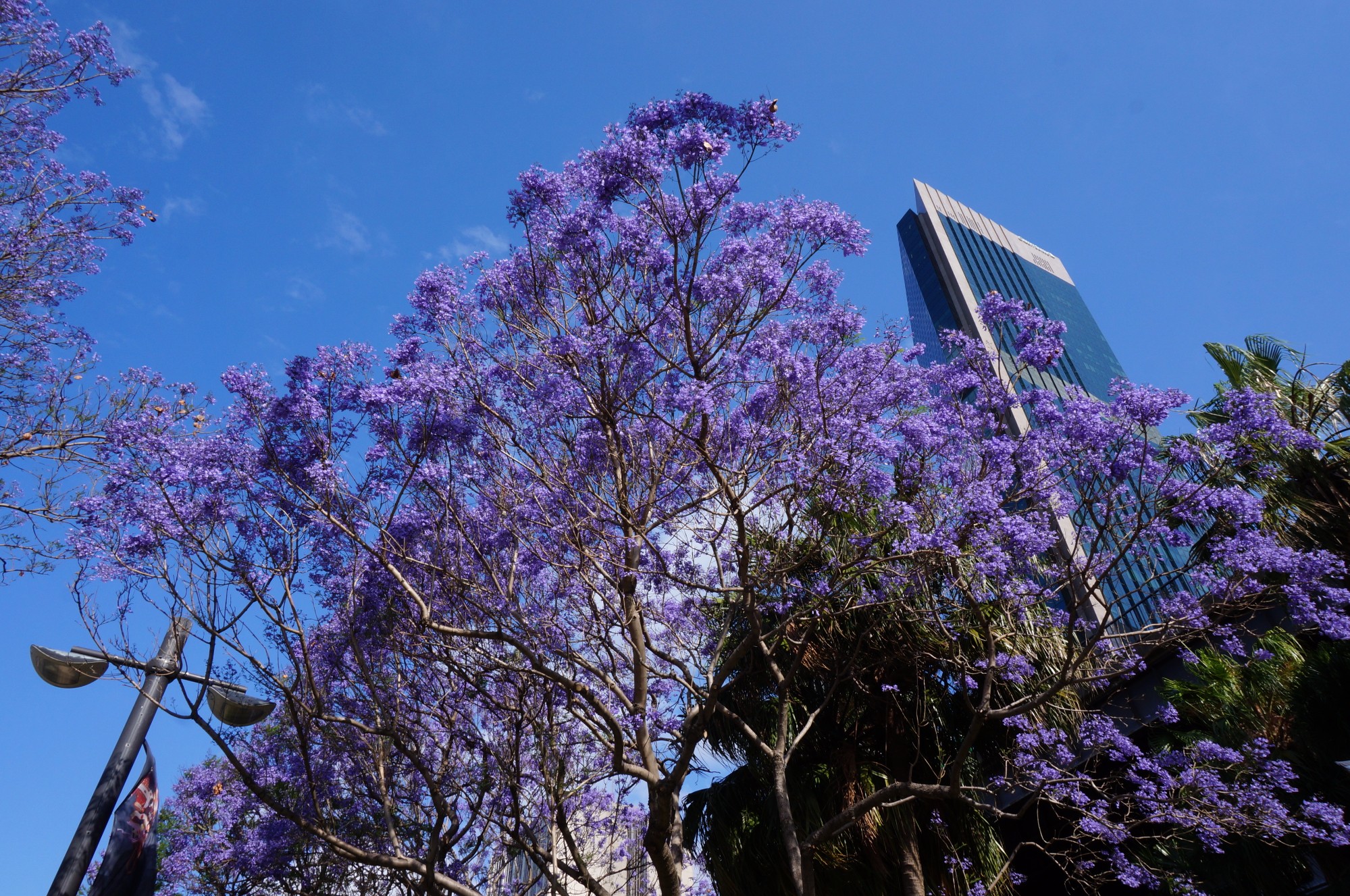 Sydney, Australia