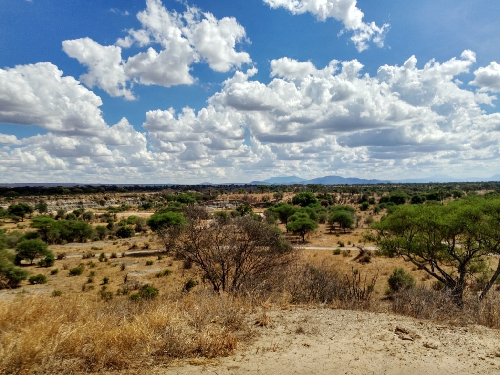 Tanzania