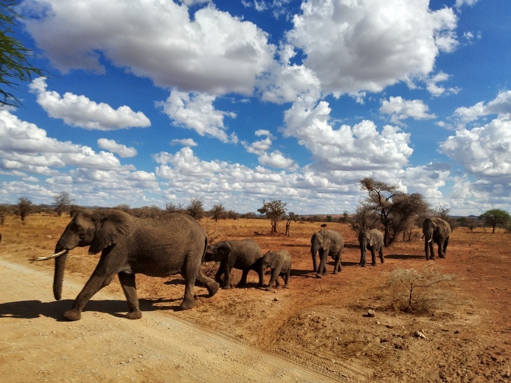 Tanzania