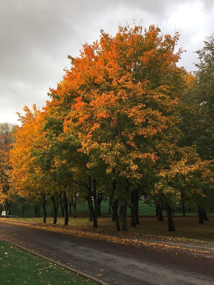 Estonia