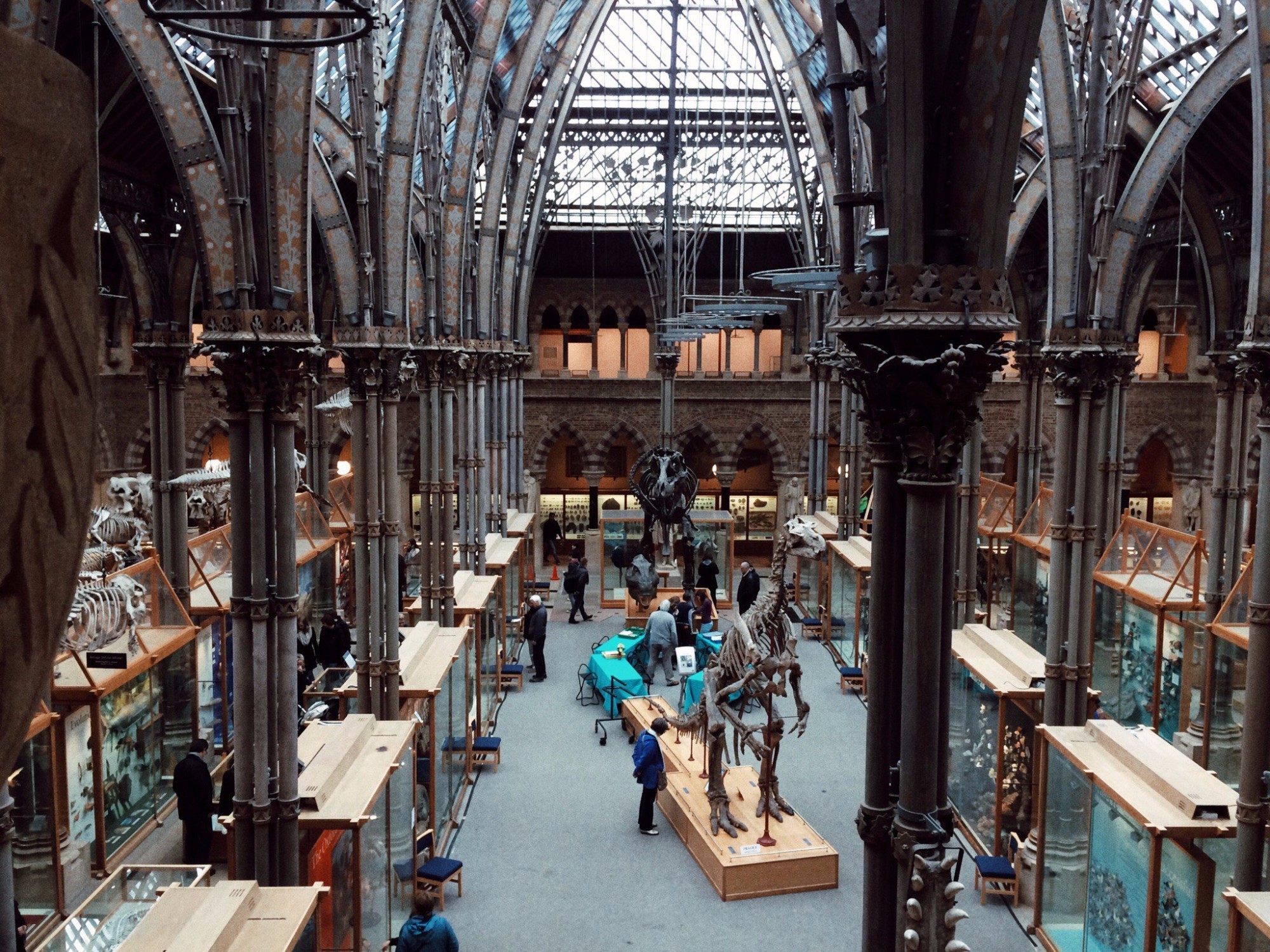 Oxford University Museum of Natural History, United Kingdom