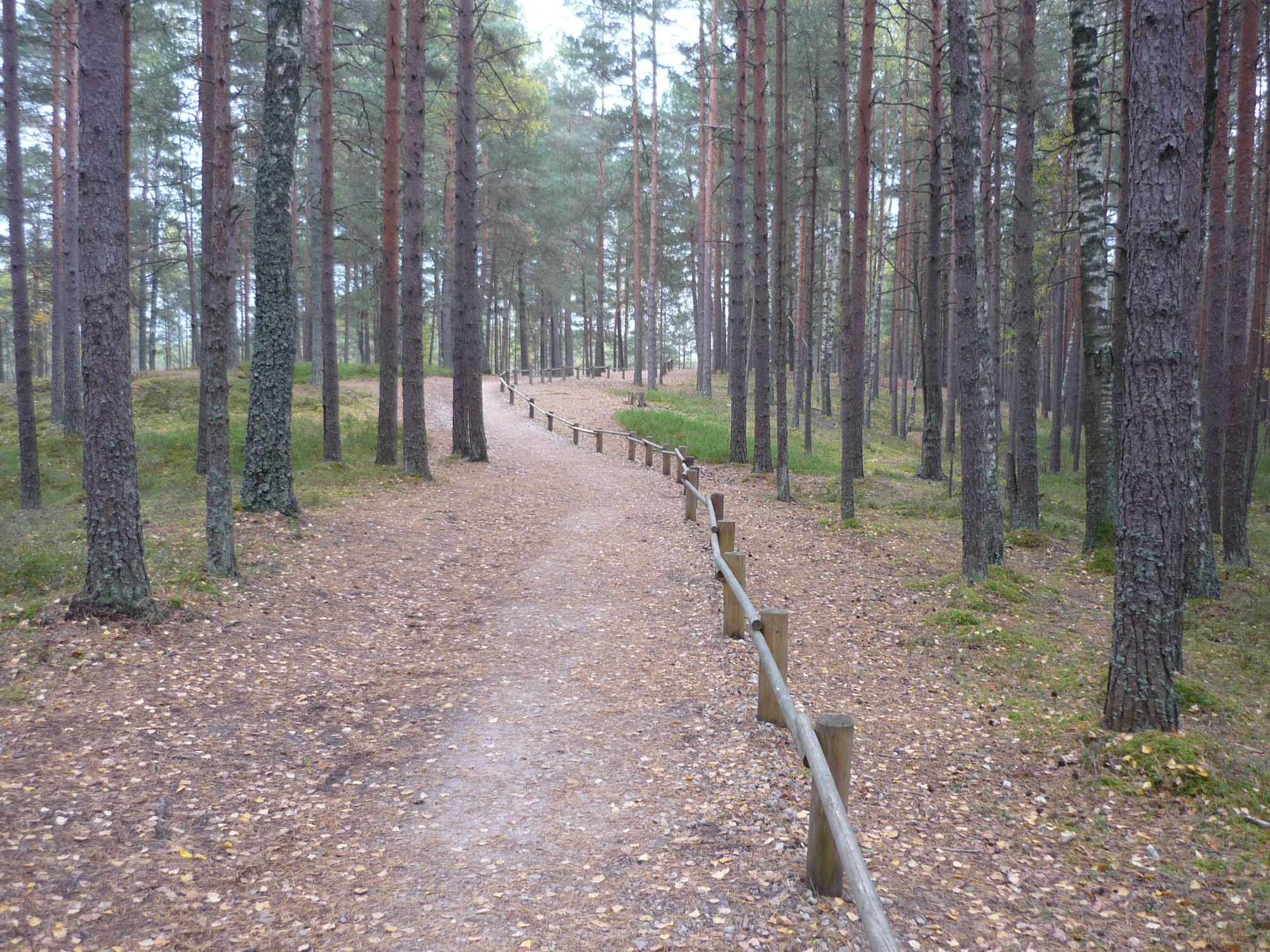 Ķemeri National Park, Latvia