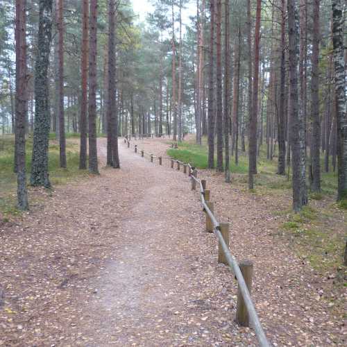 Ķemeri National Park, Latvia