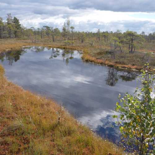 Кемерские болота, Латвия